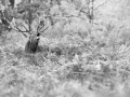 18 signature noir et blanc amar guillen