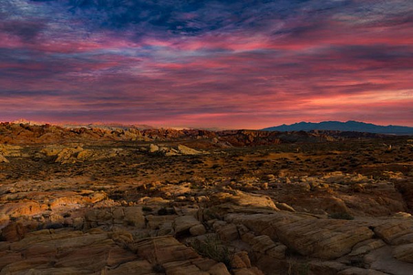 Paysage de Valley of Fire dans l'état du Nevada aux Etats-Unis. Photographie en couleur de Amar Guillen, artiste photographe.