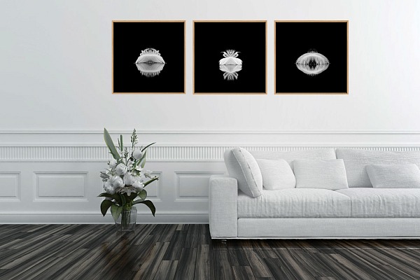 3 photos d'art en noir et blanc de plumes accrochées dans une salle d'attente du cabinet d'un pyschiatre. Elles sont une invitation à la relaxation.