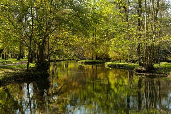 Paysages de la côte de la Charente-Maritime. Photographie par Amar Guillen, artiste photographe.