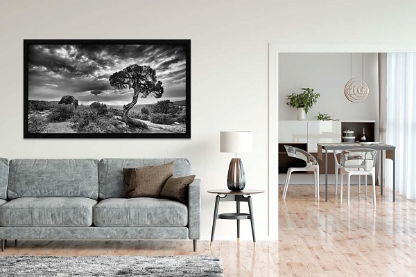A black and white fine art print of a landscape displayed over a coach on a wall of a living room.