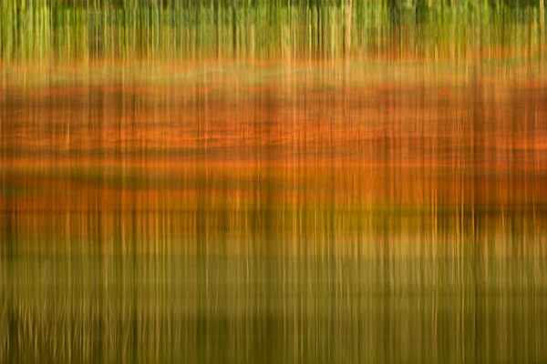 Reflections of a tree and a sky on the water. Photograph by Amar Guillen, photographer artist.