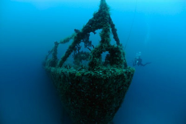 Fonds marins de Key Largo en Floride, Etats-Unis. Photographies par Amar Guillen.
