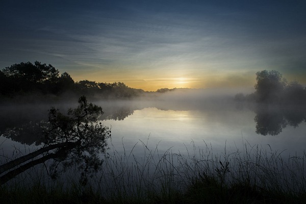 Paysage d'une zone humide en Charente-Maritime en France. Photographie d'art en couleur par Amar Guillen, artiste photographe.