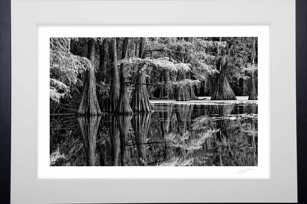 A fine art print framed of the collection 'Caddo Lake in Texas'. Amar Guillen, photographer artist.