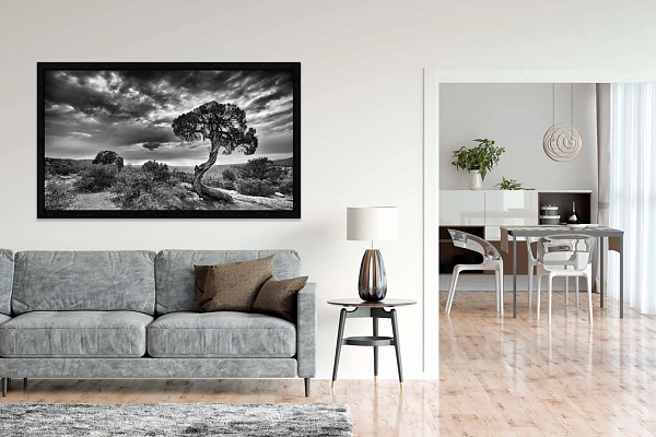 Une photo d'art en noir et blanc accrochée du dessus d'un divan dans un salon.