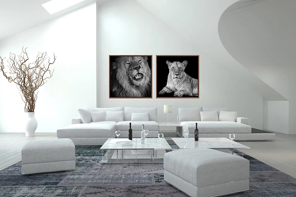 Photos d'art accrochées sur un mur d'un salon d'une maison contemporaine.
