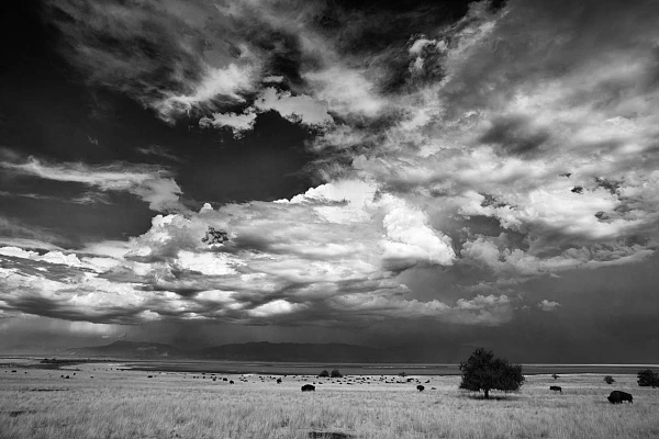 Photo en noir et blanc de Antelope Island dans l'Utah sous une tempête. Photographie par Amar Guillen, artiste photographe.