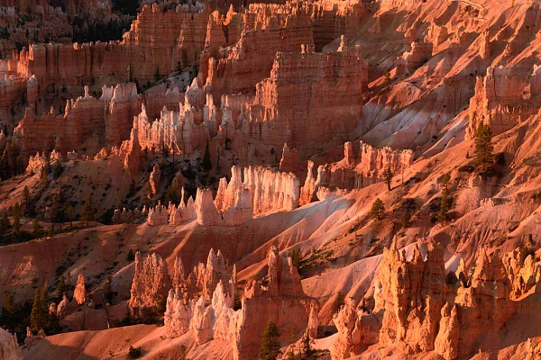 Hoodoos dans Bryce Canyon au lever de soleil.