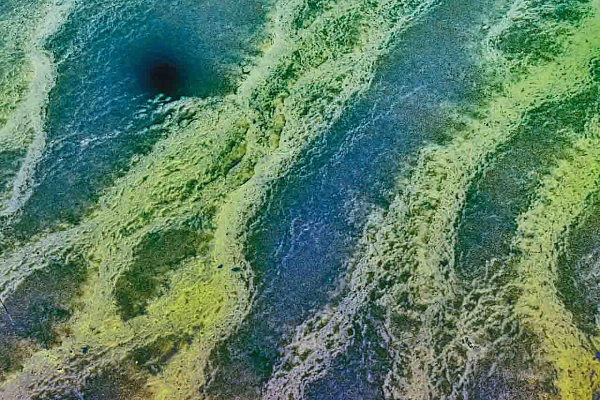 Photographie réalisée dans le Yellowstone pour la collection de photos d'art 'Les chemins de l'esprit'.