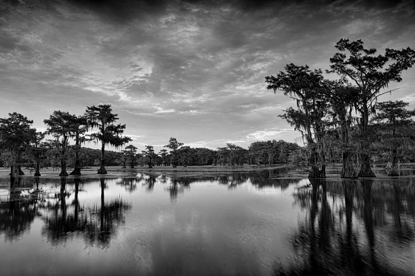 Projet de photo paysages à Caddo Lake dans l'est du Texas aux Etats-Unis.