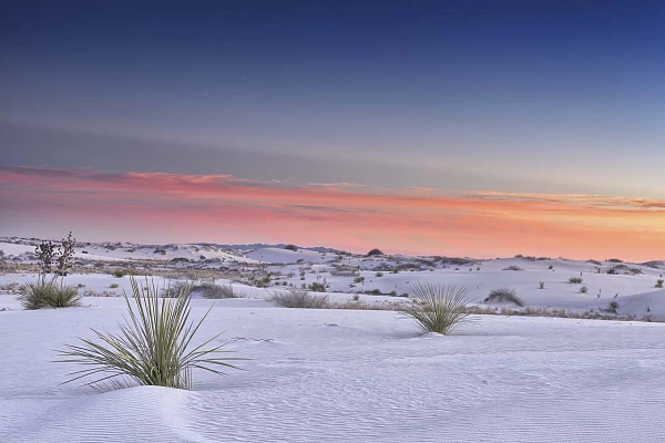 Cette photo prise dans le désert de Chihuahua nous a inspiré la quiétude et la plénitude avec les douceurs des tonalités.