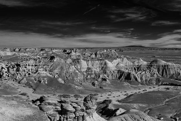 Paysage de la Vallée Pétrifiée dans l'Arizona en noir et blanc. Photographie par Amar Guillen, artiste photographe. 