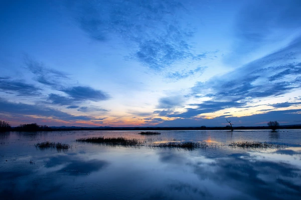 Paysage de Bosque Del Apache au Mexique aux Etats-Unis. Photographie par Amar Guillen, artiste photographe.