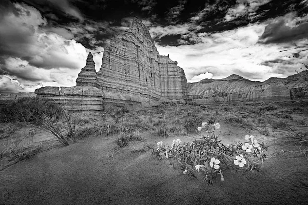 Paysage en noir et blanc de Cathedral Valley dans l'Utah aux Etats-Unis. Cette photo illustre le studium et le punctum.