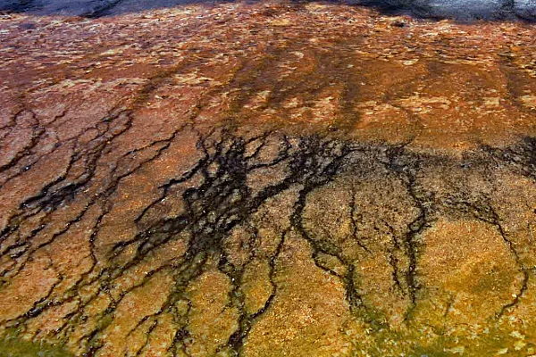 Réflexcion sur l'eau dans la cadlera du Yellowstone. Photographie par Amar Guillen, artiste photographe.