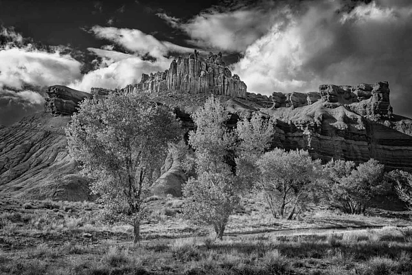 Une photo d'un paysage en noir et blanc du dôme à Capitol Reef dans l'Utah aux Etats-Unis.