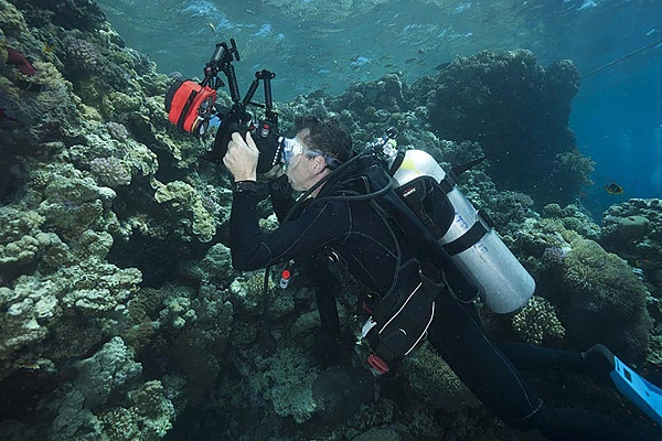 Stage de photo sous-marine en cours particulier à Safaga en Egypte.