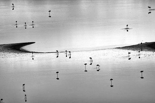 Cette photo d'art a été créée dans le cadre de la collection 'Notes de musique sur l'eau'.