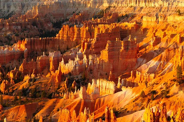 Paysage de Bryce Canyon