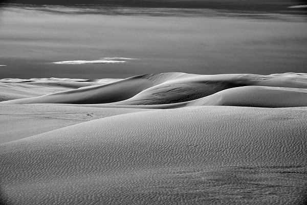 Paysages de dunes dans le parc national de White Sand Dunes au Nouveau-Mexique aux Etats-Unis.