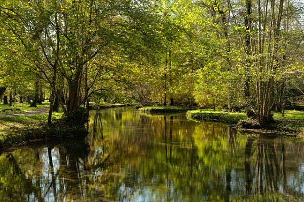 Landscape of the coast of Charente-Maritime in France. Photograph by Amar Guillen, photographer artist.