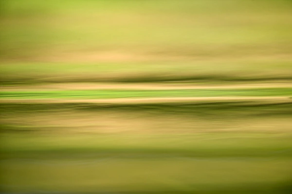 Cette photographie fait partie d'une collection qui nous a donnée une véritable existence photographique.
