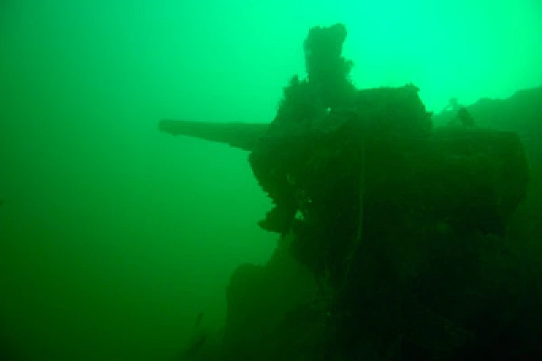 Les fonds marins d'Asnelles en Normandie en France. Photographies par Amar Guillen.