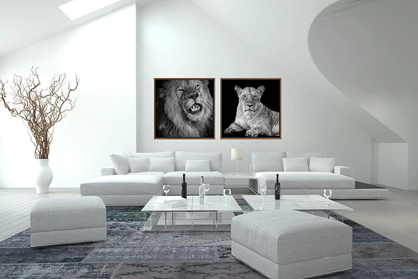 Exemple d'intérieur d'une maison avec des photos d'art du style back to black. Des photos de la collection 'Beautés animales du Kenya'.