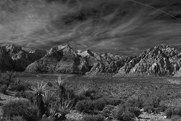 Paysage en noir et blanc de Red Rock Canyon dans le Nevada. Photographie par Amar Guillen, artiste photographe.