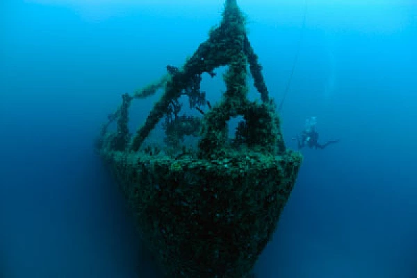 Fonds marins de Key Largo en Floride, Etats-Unis. Photographies par Amar Guillen.