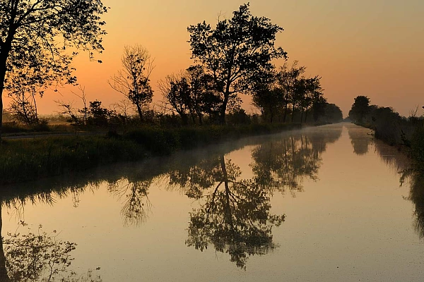 Une photo des marais de Beaugeay en Charente-Maritime pour l'exposition.