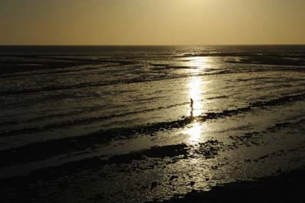 Paysages de la côte de la Charente-Maritime en France. Photographies par Amar Guillen.