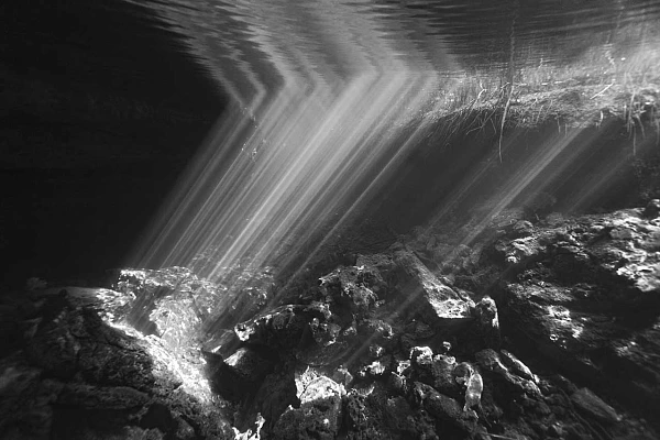 Projet de photo sous-marine dans les cénotes dans le Yucatan au Mexique.