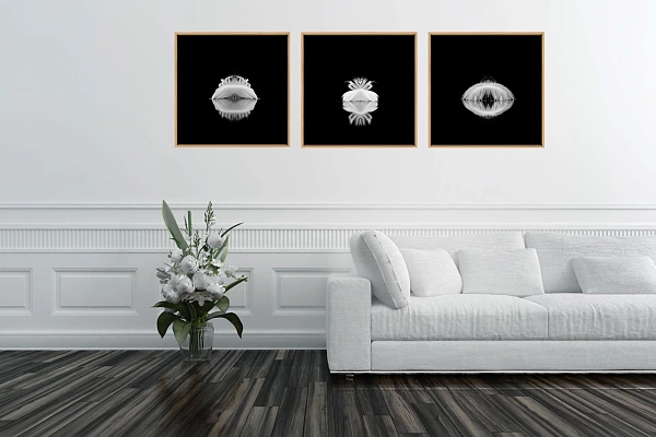 3 photos d'art en noir et blanc de plumes accrochées dans une salle d'attente du cabinet d'un pyschiatre. Elles sont une invitation à la relaxation.