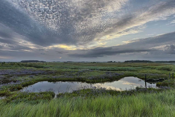 Une photo qui m'a demandé des jours d'attente pour avoir les meilleures conditions météo : une zone marécageuse dans le pays royannais en Charente-Maritime.