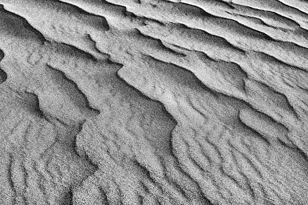 Details of a sand dune of Great National Dunes national park in Colorado.