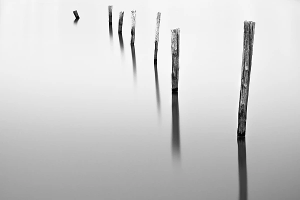 Photo conceptuelle de piquets dans une prairie inondée. Photographie en hig key et noir et blanc par Amar Guillen, artiste photographe.