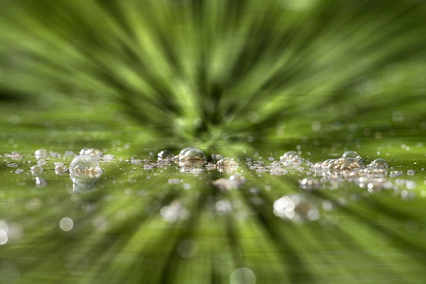 Photographie conceptuelle et abstraite de bulles à la surface d'un étang. Photographie par Amar Guillen, artiste photographe.