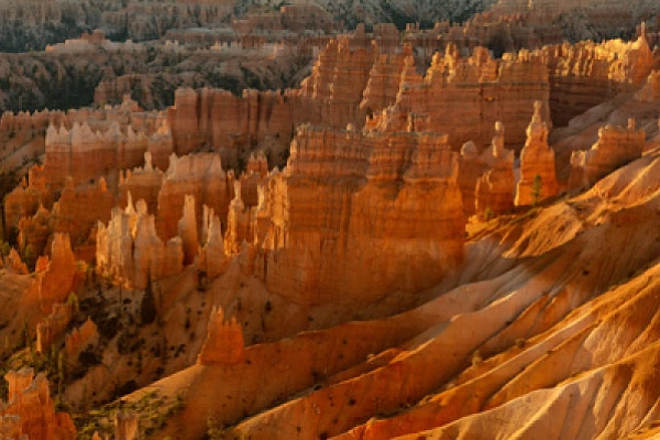 Les paysages de Bryce Canyon dans l'Utah. Photographies par Amar Guillen.