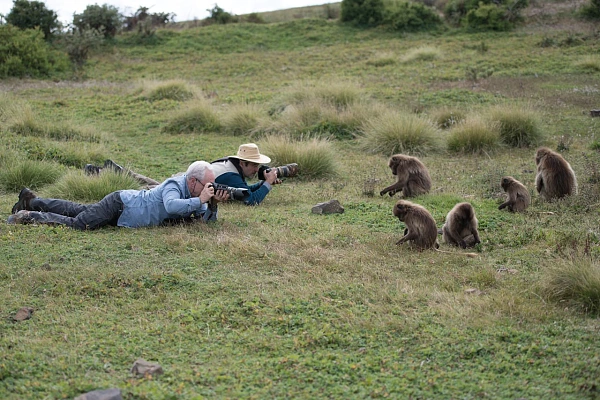 Deux stagiaires en train de photographier des geladas sur les hauts-plateaux de l'Ethiopie.