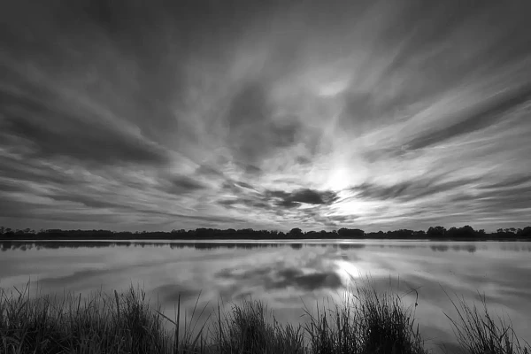 Landscape of a pond of the Dombes, Ain, France. Fine art Photograph in black and white by Amar Guillen, photographer artist.