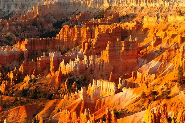 Paysage Bryce Canyon dans l'état de l'Utah aux Etats-Unis. Photographie par Amar Guillen, artiste photographe.
