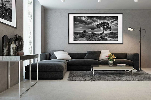 Une photo d'art d'un arbre en noir et blanc exposée dans un salon.