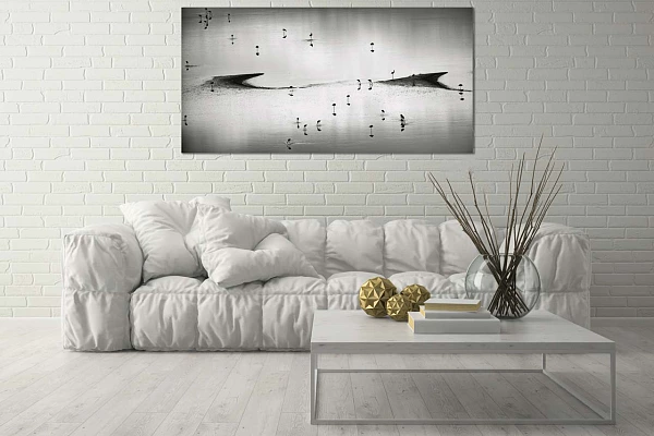 Black and white art photo of birds on Lake Magadi in Kenya.