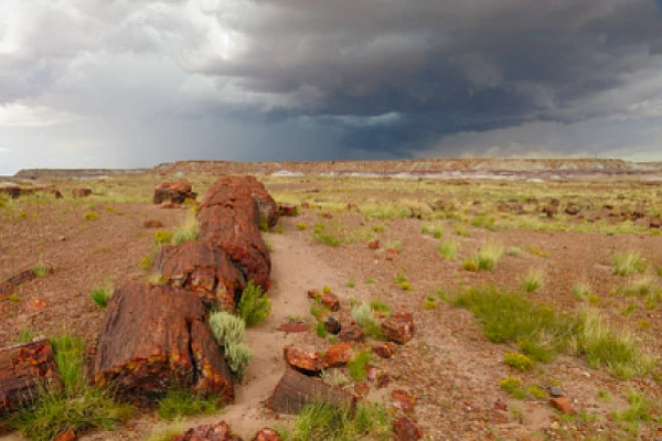 Paysages de la forêt pétrifiée dans l'état de l'Arizona. Photographies par Amar Guillen.