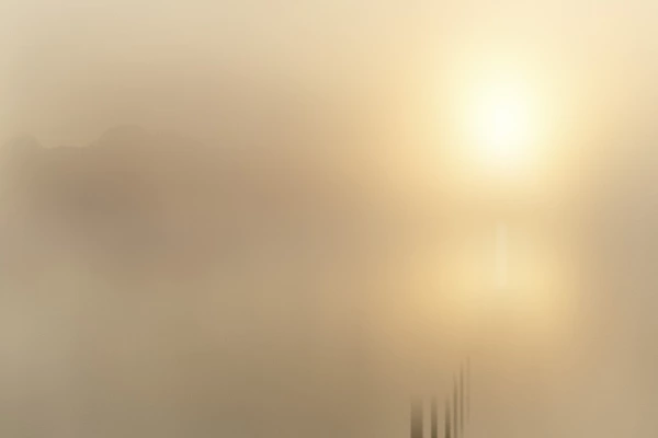 Etang baignant dans le brouillard durant l'aurore. Photographie d'art en noir et blanc par Amar Guillen, artiste photographe.