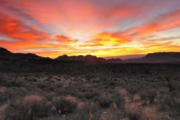 Red Rock Canyon dans l'état du Nevada aux Etats-Unis. Photographies par Amar Guillen.