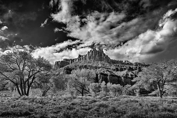 Photo de paysage en noir et blanc du Dôme prise à Capitol Reef dans l'état de l'Utah. Photo en noir et blanc par Amar Guillen.