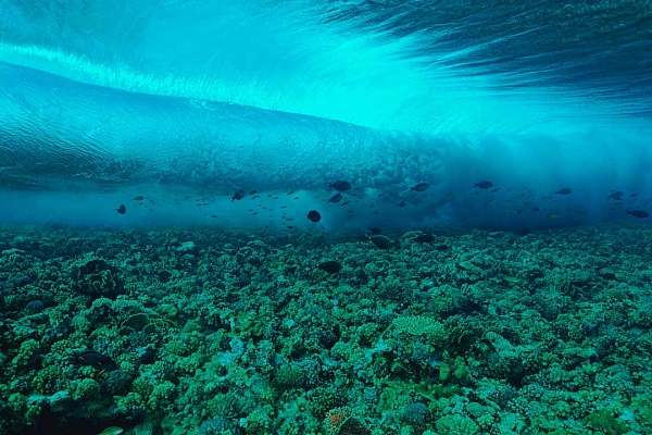 Vague et rouleur de la mer Rouge prise sous l'eau